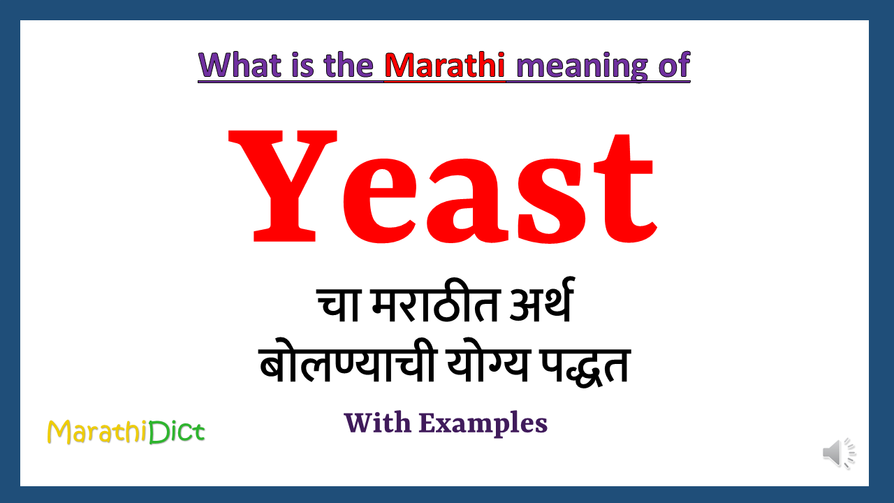 Yeast-meaning-in-marathi