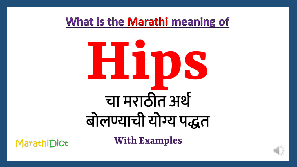 hips-meaning-in-marathi-marathidict