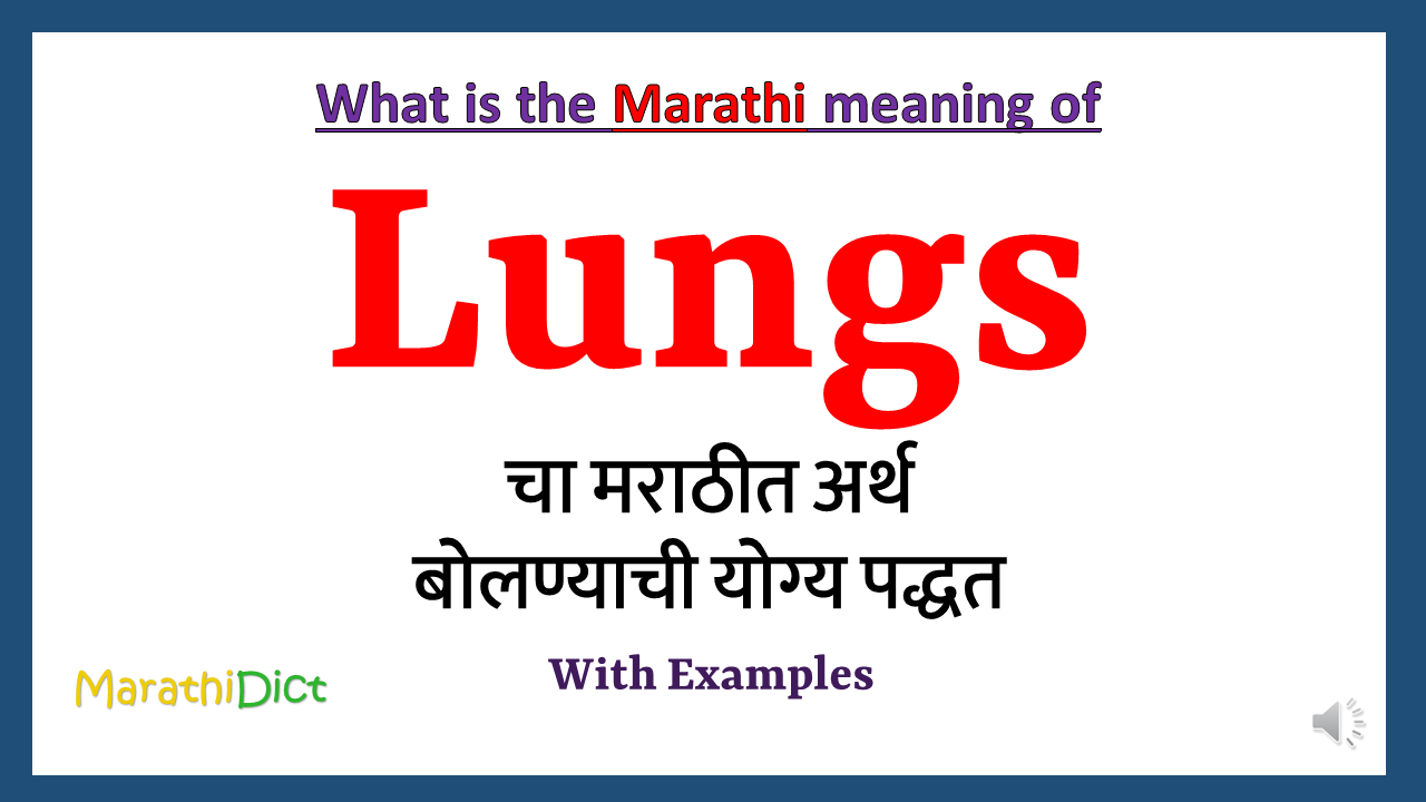 Lungs-meaning-in-marathi