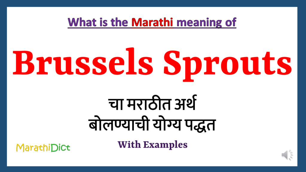 Brussels-Sprouts-meaning-in-marathi