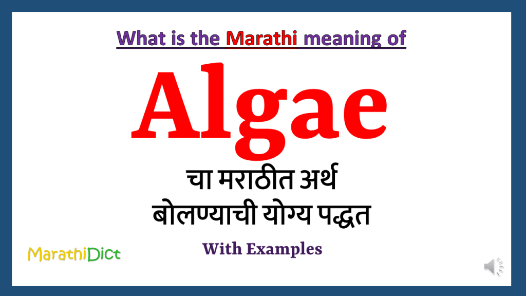Algae-meaning-in-marathi