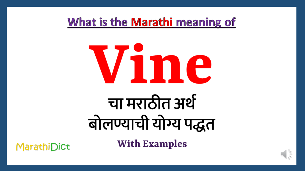 vine-meaning-in-marathi-marathidict