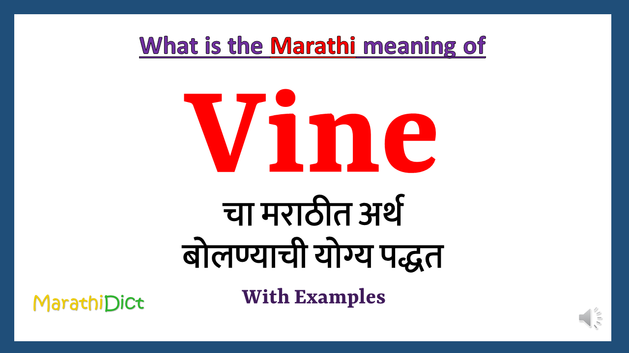 Vine-meaning-in-marathi