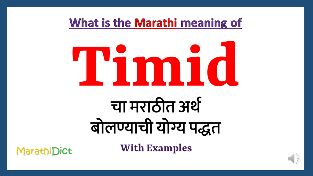 What Is The Word Timid Mean