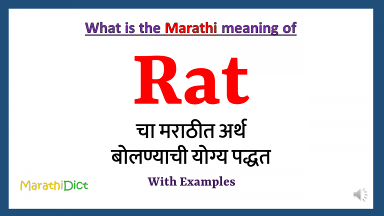 Rat Meaning In Marathi MarathiDict