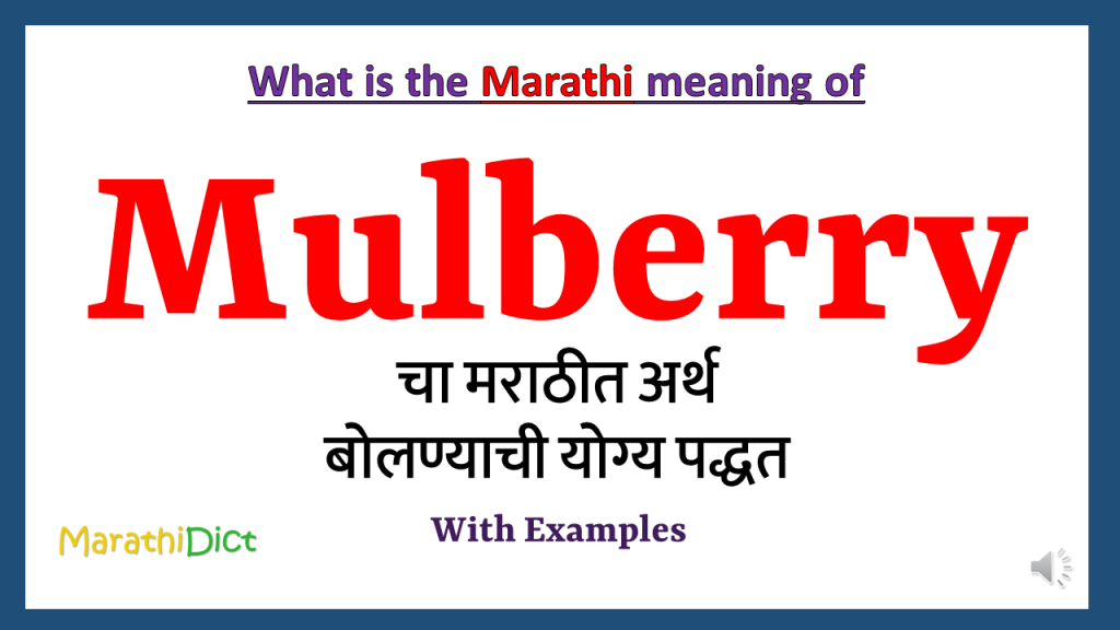 mulberry-meaning-in-marathi-marathidict