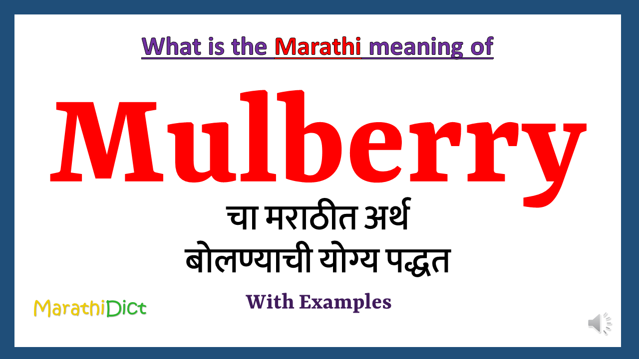 Mulberry-meaning-in-marathi