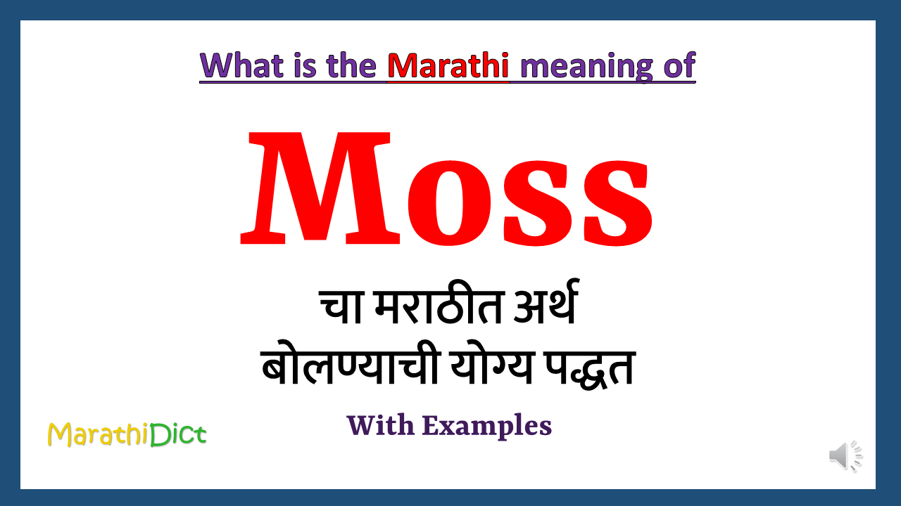 Moss-meaning-in-marathi