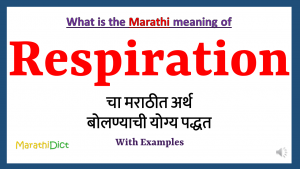 Respiration-meaning-in-marathi