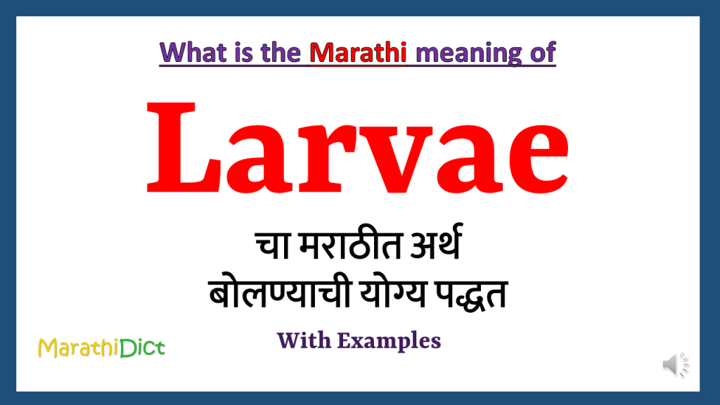 larvae-meaning-in-marathi-marathidict