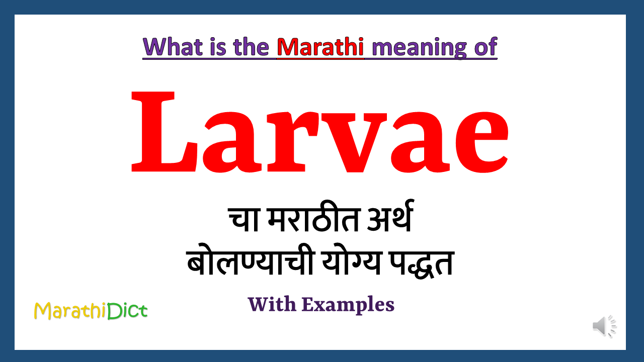 Larvae-meaning-in-marathi