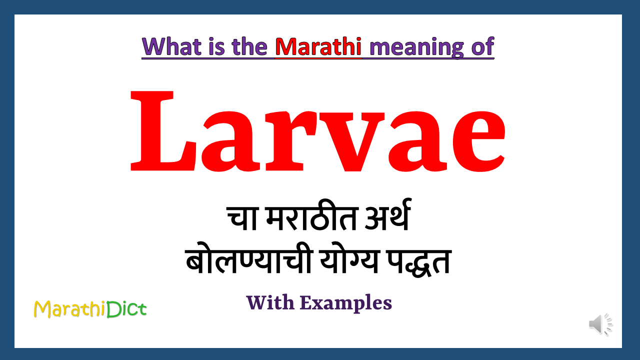 Larvae Meaning In Marathi MarathiDict