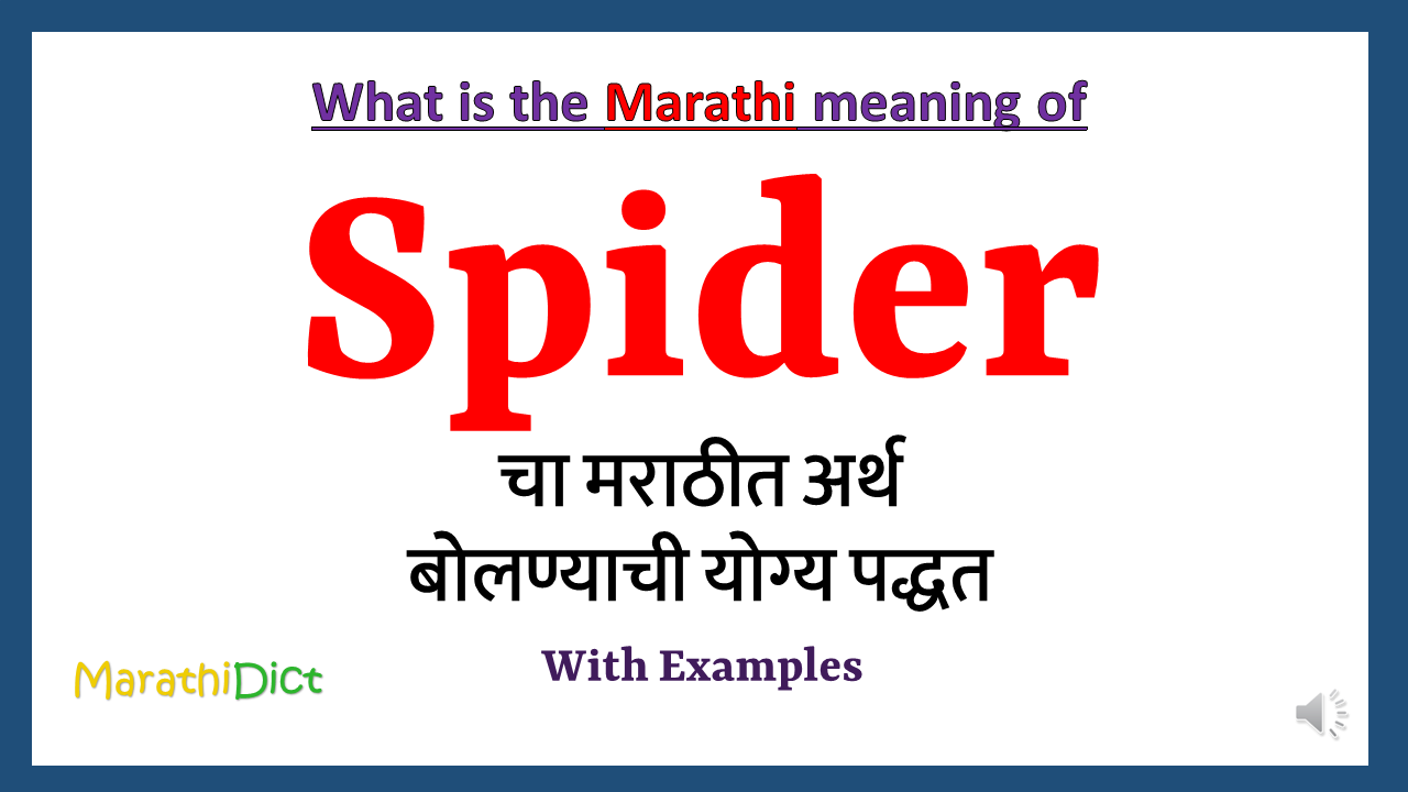 Spider-meaning-in-marathi