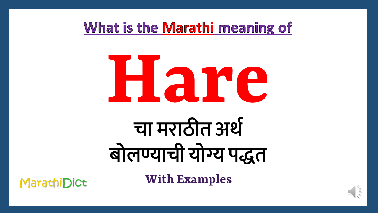 Hare-meaning-in-marathi