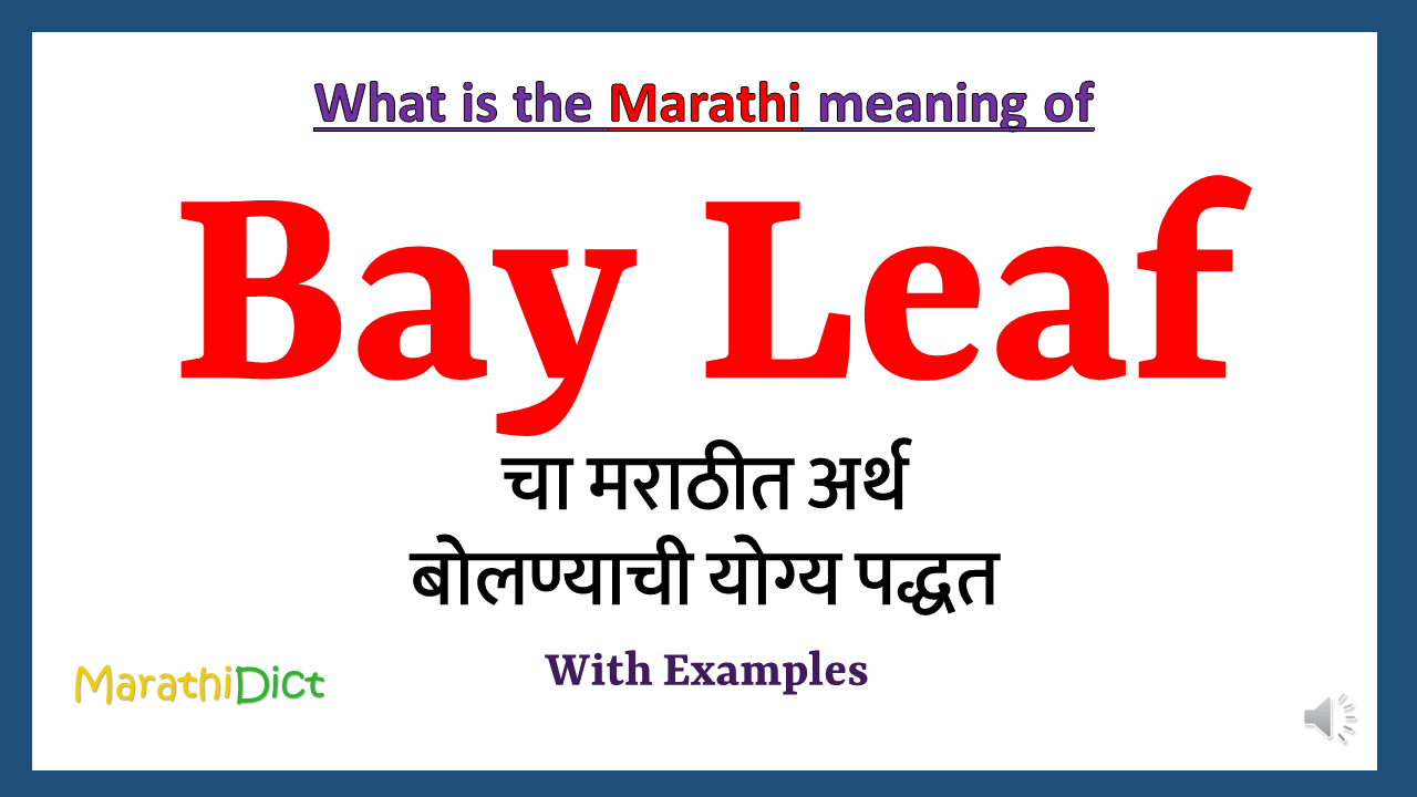 Bay-leaf-meaning-in-marathi