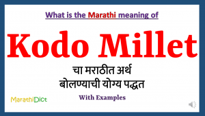 Kodo Millet-meaning-in-marathi