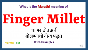 Finger Millet-meaning-in-marathi