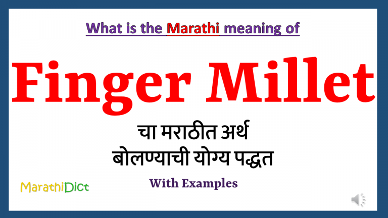 finger-millet-meaning-in-marathi-marathidict